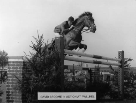 David Broome riding Sunsalve - David won his first Olympic Medal on Sunslave at the 1960 Rome Olympics, the individual Bronze. They also won the individual Bronze medal at the World Championships in Venice